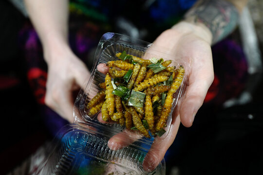 Fried bamboo worms served as Thai street food at a night market, Thailand