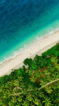 Aerial view of Pantai Wainuru featuring turquoise ocean waves crashing on a sandy beach bordered by lush tropical palm trees in Salahutu, Maluku, Indonesia.