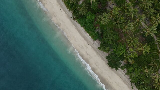 Aerial view of Pantai Wainuru with white sand, turquoise sea, and lush palm trees in Salahutu, Maluku, Indonesia.