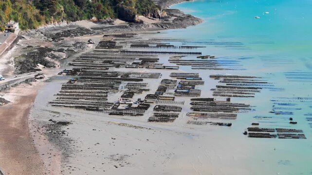 Drone aerial of oyster cultivation beds by low tide in Brittany, featuring shellfish farming on coastal tidal flats
