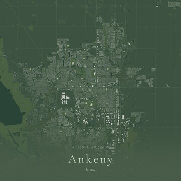 Sage Green Map of Ankeny, United States | Modern Scandinavian Wall Art