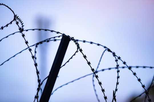 Silhouette of razor barbed wire fence against twilight sky background with copy space