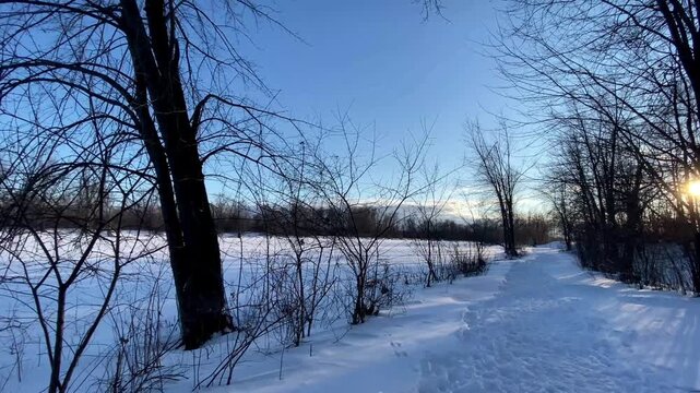 Low angle wide-angle shot of a snow-covered winter path lined with bare deciduous trees and pine trees during a crisp, clear sunset.