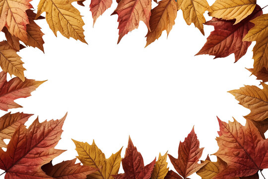 Full rectangular frame made of large autumn leaves