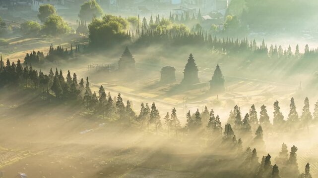Aerial view of Candi Arjuna temple complex surrounded by morning mist and pine trees in the Dieng Plateau, Indonesia.