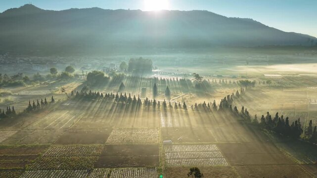 Aerial view of Candi Arjuna Dieng surrounded by misty agricultural fields and rows of trees illuminated by golden sunbeams at sunrise in Indonesia.