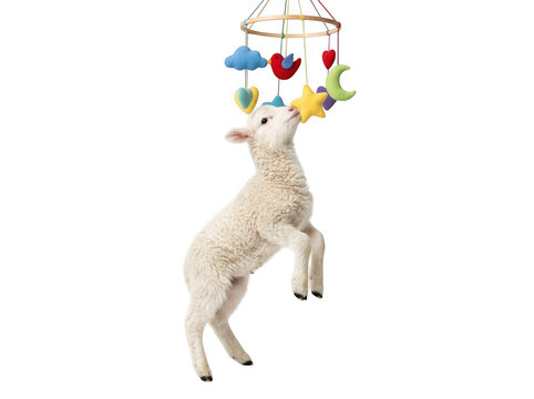 Cute fluffy lamb jumping to play with a colorful baby crib mobile toy hanging above isolated on transparent background