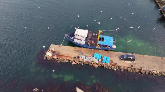 Aerial view of a small working fishing boat moored at a harbor pier, surrounded by seagulls, fishing equipment, parked vehicles and rows of colorful boats along the waterfront.