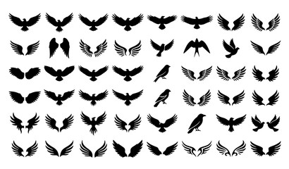Fototapeta premium Bird Wings Silhouette Vector Set Black Feather Wing Collection