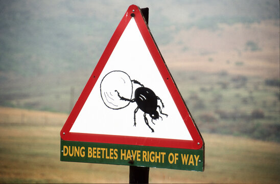 Humorous but serious dung beetle road sign, Ithala Game Reserve, South Africa