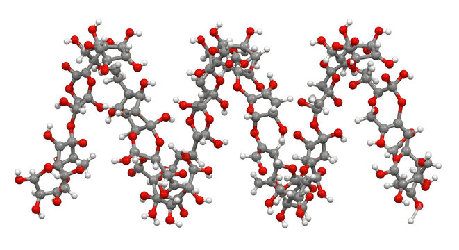 Hyper-Realistic 3D Molecular Structure of Starch Amylose Isolated on White Background