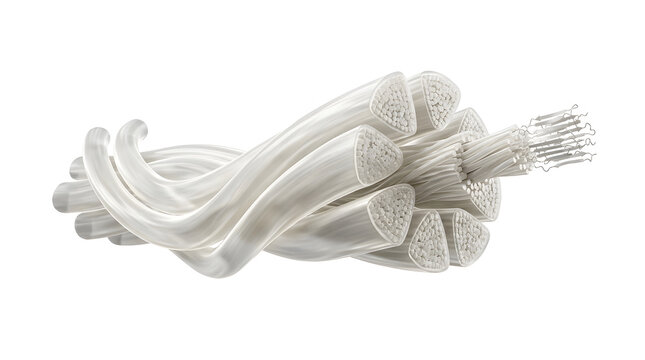 Scientific 3D Illustration of Silk Fibroin Microfibers and Protein Structure Isolated on White Background