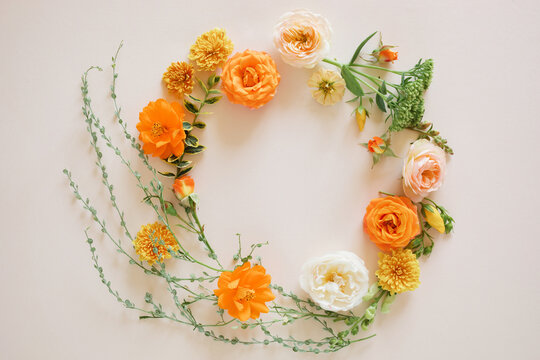 Close-up Overhead view of assorted orange and peach garden roses, anemones and foliage arranged in a circle on a white background