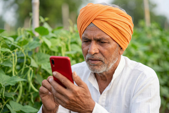 Indian farmer using red smartphone in green agricultural field