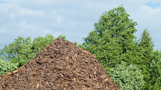 The photo shows wood chips against a backdrop of blue sky and green trees