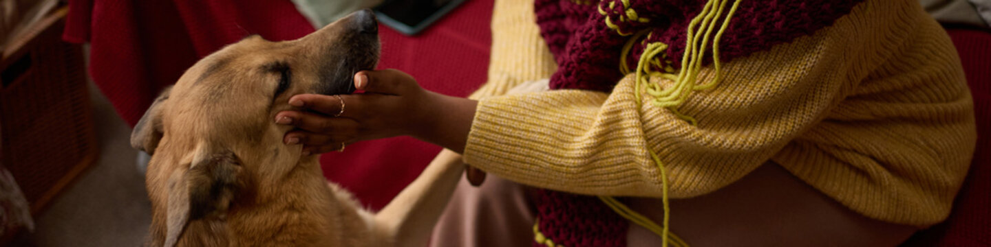 Cropped shot of Black woman petting her dog at home, showing pet care and companionship. Image ideal for veterinary services, animal welfare campaigns, and pet food marketing