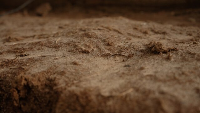 Dry brown earth surface presenting a rough and uneven texture, showing small clumps of soil and tiny pieces of debris, symbolizing drought, agriculture, and construction concepts