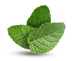 Green mint. Three leaves on white background © New Africa