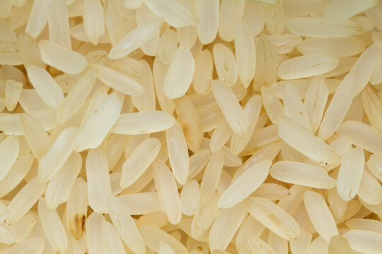 Parboiled rice grains.