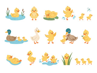 Fototapeta premium A collection of cute cartoon ducklings and ducks in various playful poses.