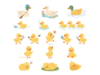 Obraz premium A collection of cute cartoon ducklings and adult ducks in various playful activities.