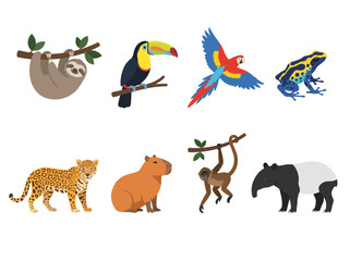 Fototapeta premium A collection of diverse tropical rainforest animals including a sloth toucan parrot frog jaguar capybara monkey and tapir.