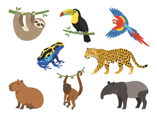 Fototapeta premium A collection of diverse South American rainforest animals including a sloth toucan parrot frog jaguar capybara monkey and tapir.