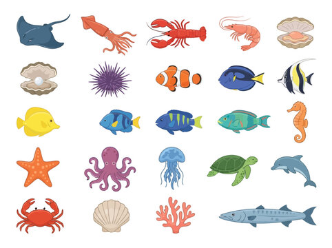 Collection of colorful hand drawn marine life and sea creatures illustrations.
