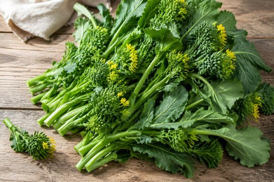 Fresh Broccoli Rabe Displays Leafy Stems Small Florets and Yellow Blossoms Under Soft Daylight Collection