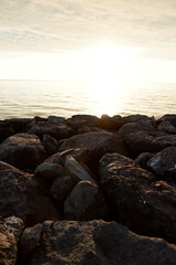 A rocky shoreline at sunset, calm waves glow as the sun dips toward the horizon, creating a serene coastal scene perfect for nature and outdoor lifestyle themes. © SHOTPRIME STUDIO