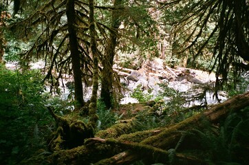 Fototapeta premium Washington State forest lake and waterfall