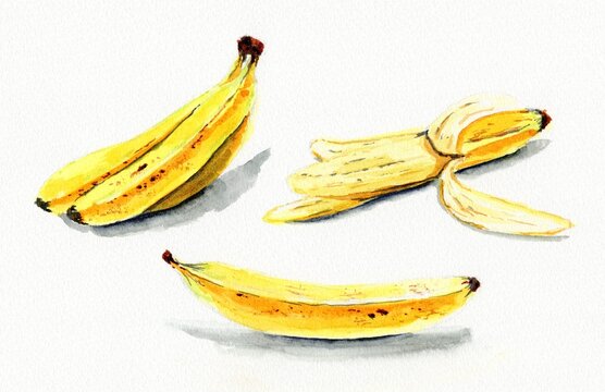 Hand-drawn watercolor banana set / 手描き水彩のバナナイラストセット