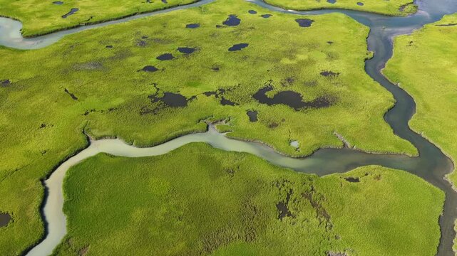 Narrow channels meander through an extensive salt marsh in Pleasant Bay, Cape Cod. Marshes provide critical habitat for many birds, fish, and marine invertebrates to feed, mate, and nest.