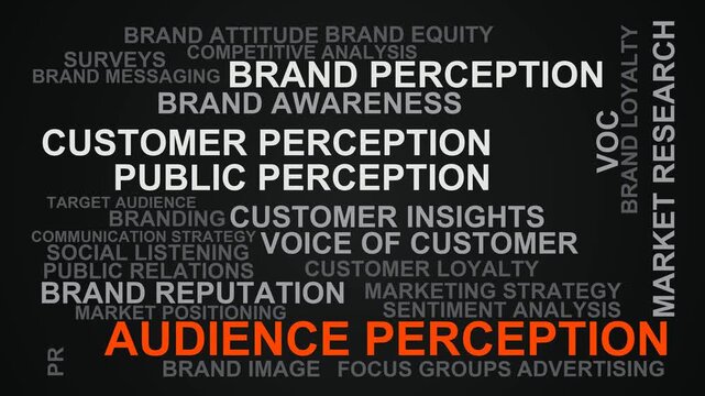 Audience Perception Word Cloud