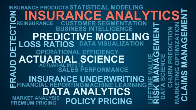 Insurance Analytics Word Cloud