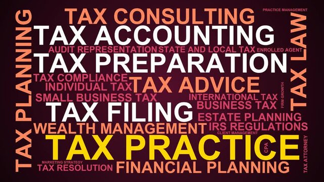 Tax Practice Word Cloud