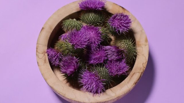 Milk thistle flowers in bowl on violet background, top view