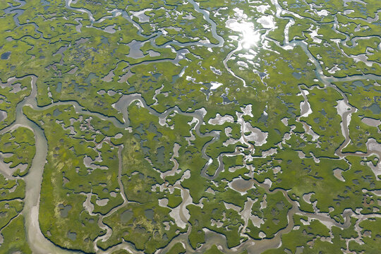 Narrow channels meander through an extensive salt marsh in Pleasant Bay, Cape Cod. Marshes provide critical habitat for many birds, fish, and marine invertebrates to feed, mate, and nest.