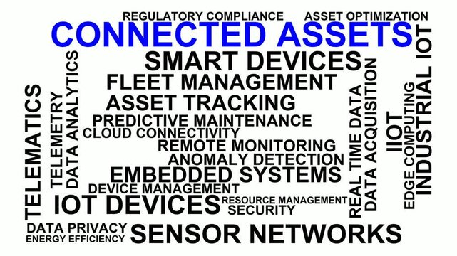 Connected Assets Word Cloud