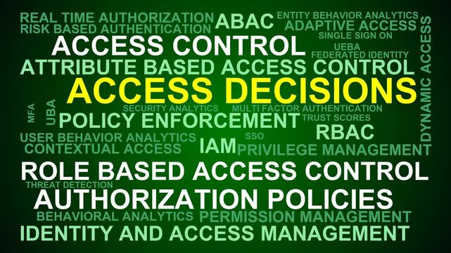 Access Decisions Word Cloud