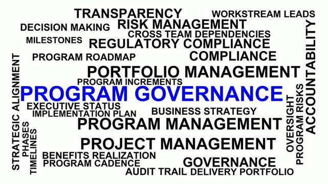 Program Governance Word Cloud
