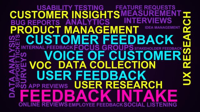 Feedback Intake Word Cloud