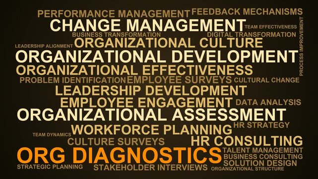 Org Diagnostics Word Cloud