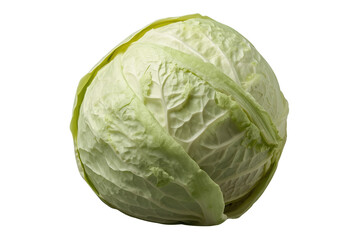 Fototapeta premium Round pale green cabbage with loosely layered leaves