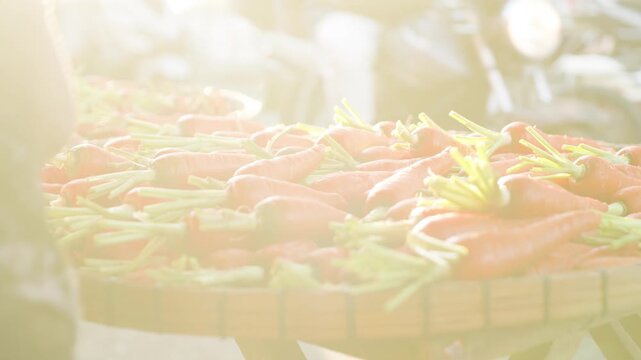 Market Vendor Adding Fresh Carrots to a Vegetable Display