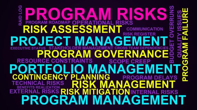 Program Risks Word Cloud