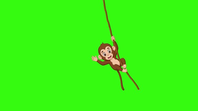 Cute cartoon monkey hanging and waving on a vine against a green screen. Ideal for jungle and animal themes.