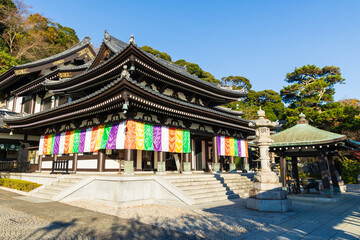 Fototapeta premium 日本の風景・秋 神奈川県鎌倉市 紅葉の長谷寺 本堂