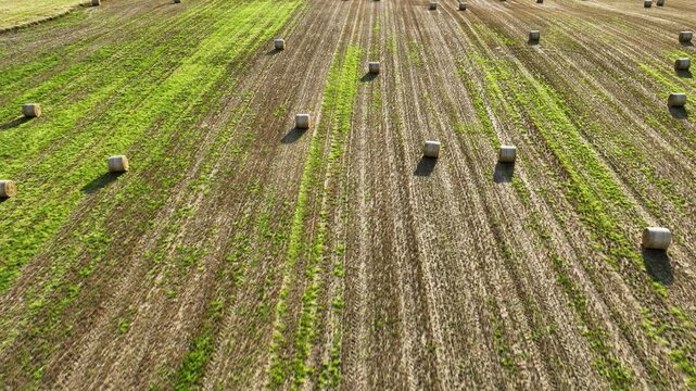 Aerial drone flying backwards over hay bales scattered field in 4k