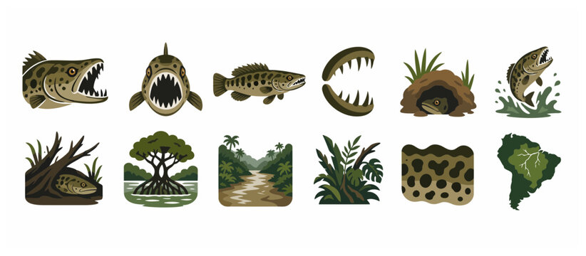 Colorful cartoon alligator and fish illustrations.